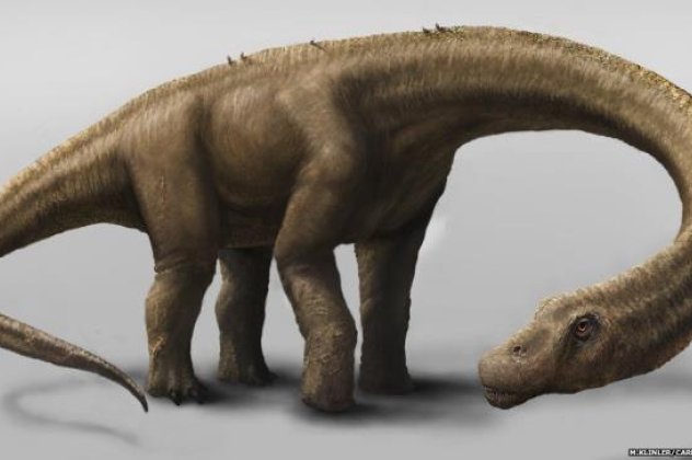 Είδατε το βίντεο με τον μεγαλύτερο δεινόσαυρο που ανακάλυφθηκε ποτέ στη γή; Τον ονομάζουν ''ατρόμητο'' και είχε μήκος 26 μέτρα, μόνο 11 ο λαιμός του... (φωτό - βίντεο) - Κυρίως Φωτογραφία - Gallery - Video