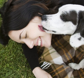 Βήμα - βήμα η άσκηση του σκύλου σας για την καλή πνευματική του υγεία - Ποια είναι τα 6+1 καίρια tips για να γίνει " διάνοια"