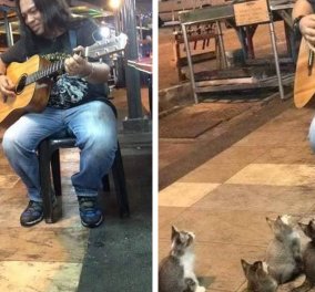Συγκινητικό: 4 μουσικόφιλες γάτες ακούν ένα μουσικό του δρόμου & εντυπωσιάζονται - Όλοι οι άλλοι τον αγνόησαν