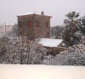 Χιονιάς "Αριάδνη": Στα λευκά ξύπνησε η Λέσβος (φωτό) - Έπεσαν χιόνια μετά από χρόνια μέσα στην Πάτρα! 