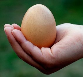 Οι πιο χρήσιμοι εναλλακτικοί τρόποι για να χρησιμοποιήσετε ένα ληγμένο αυγό