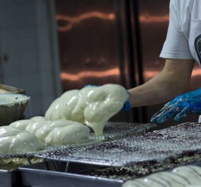 Made in Greece η Τερκενλής: Ιστορία 70 χρόνων για το ζαχαροπλαστείο με τα ξακουστά γεμιστά τσουρέκια – Από την Τσιμισκή σε 19 ακόμα σημεία στην Ελλάδα