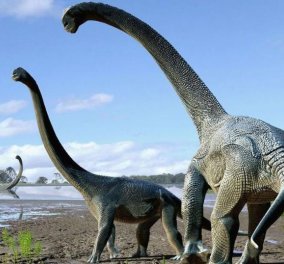 Σπουδαία ανακάλυψη: Βρέθηκε στην Τανζανία το απολίθωμα ακόμη ενός Τιτανόσαυρου