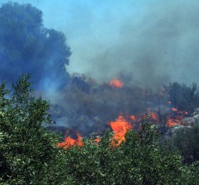 Μεγάλη προσοχή σήμερα: Yψηλός κίνδυνος πυρκαγιάς στην Αττική και τη Στερεά Ελλάδα