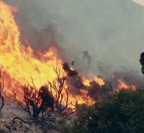 Πολύ υψηλός κίνδυνος πυρκαγιάς σήμερα – Οι περιοχές που κινδυνεύουν 