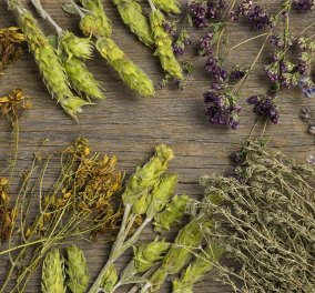 Το φαρμακείο της φύσης στο πιάτο σας: Χρησιμοποιούμε βότανα όχι μόνο για το ιδιαίτερο άρωμα & την πλούσια γεύση τους, αλλά & για καλύτερη υγεία!
