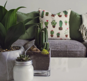 Ο Σπύρος Σούλης & οι τοπ ιδέες του: Διακοσμήστε το σπίτι με φυτά με αυτά τα 6 πολύ όμορφα tips 