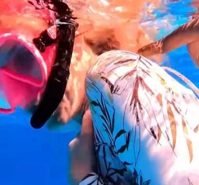 Βίντεο: Δηλητηριώδες θαλάσσιο φίδι να περικυκλώνει κολυμβήτρια - Τρόμος στον βυθό της Αυστραλίας, δείτε το