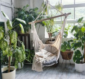 Ο Σπύρος Σούλης προτείνει: 7 ιδέες για να διακοσμήσετε με φυτά το σπίτι
