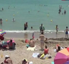 Η απόδειξη "σπάνιο είδος" στην παραλία: «Δεν παίρνουν γιατί είναι... οικολόγοι» (βίντεο)