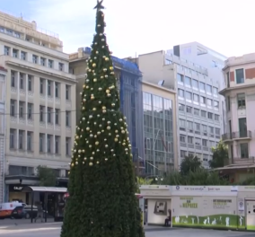 Απίστευτο: Έκλεψαν τις μπάλες από το Χριστουγεννιάτικο δέντρο στην Κλαυθμώνος - Ακόμα 25 δέντρα «έμειναν» χωρίς στολίδια, τι λέει ο αντιδήμαρχος (βίντεο)
