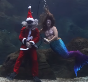 Χριστούγεννα παρέα με μια... γοργόνα: Εκεί ο Άγιος Βασίλης δίνει δώρα στα... ψάρια - Δείτε τι γίνεται στον θαλασσόκοσμο της Κρήτης (βίντεο)