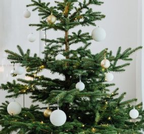 Ο Σπύρος Σούλης αποκαλύπτει 5 μυστικά της περίφημης Σκανδιναβικής Χριστουγεννιάτικης διακόσμησης - δημιουργήστε το απόλυτο ζεστό σπίτι!