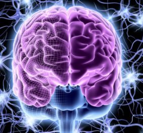 Ερευνητές βρήκαν τον διακόπτη on/off στον εγκέφαλο για την ανθρώπινη συνείδηση‏! - Κυρίως Φωτογραφία - Gallery - Video