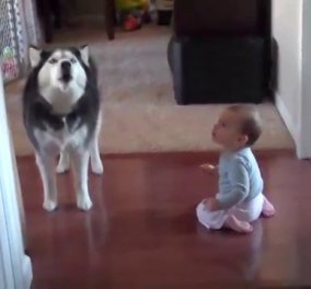 Smile: Ξεκαρδιστικό βίντεο με τον απίστευτο διάλογο ενός μωρού με έναν σκύλο! Πολύ γέλιο! (βίντεο)  - Κυρίως Φωτογραφία - Gallery - Video
