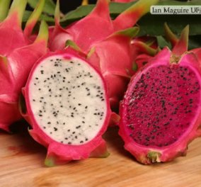 Dragon Fruit: To εξωτικό φρούτο από καρπό κάκτου με πολλές βιταμίνες - Η γεύση του θυμίζει το πεπόνι! - Κυρίως Φωτογραφία - Gallery - Video