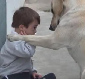 4,5 εκ. κλικς κέρδισε αυτό βίντεο της υπέροχης αγάπης που δείχνει ένας σκύλος στον μικρούλη με σύνδρομο down! 