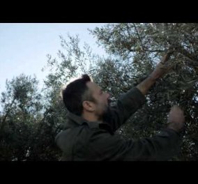 «ΕΛΠΙΖΩ»: Αυτό είναι το νέο προεκλογικό σποτ του ΣΥΡΙΖΑ που αφορά τους αγρότες! (βίντεο)