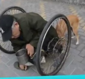 Το συγκινητικό βίντεο της ημέρας - Πιστός σκύλος σπρώχνει το αναπηρικό καροτσάκι Ζητιάνου - Κυρίως Φωτογραφία - Gallery - Video