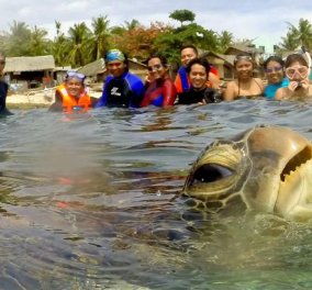 Smile: Ποιος είπε ότι και τα ζώα δεν βγαίνουν selfies - Δείτε την πιο αστεία από αυτήν την χελώνα