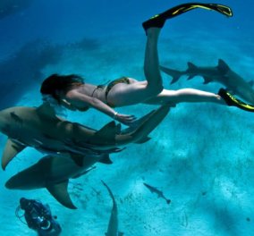 Φωτογραφία με ένα καρχαρία - Η selfie που κάνει τον γύρο του διαδικτύου