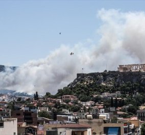 Πάνω από 52 μέτωπα σε όλη την χώρα – Μεγάλες πυρκαγιές σε Λακωνία, Εύβοια, Μαλακάσα & Ναύπλιο