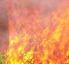 Δήμαρχος Ηλιούπολης: ‘’Οι πυρκαγιές οφείλονται σε εμπρησμούς’’