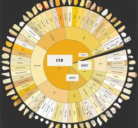 Αυτός είναι ο παγκόσμιος χάρτης 65 καλύτερων τυριών του πλανήτη - Η φέτα είναι μέσα;  - Κυρίως Φωτογραφία - Gallery - Video