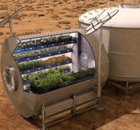 Την πρώτη διαστημική σαλάτα θα φάνε οι αστροναύτες του ISS - Μαρούλια καλλιεργημένα στον Διεθνή Διαστημικό Σταθμό  