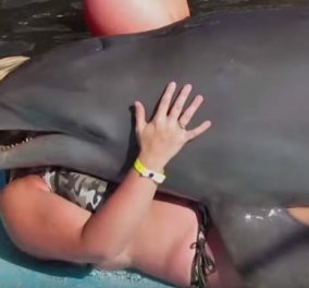 Βίντεο: Δείτε ένα άτακτο δελφίνι να κάνει αγκαλίτσες σε μια γυναίκα 