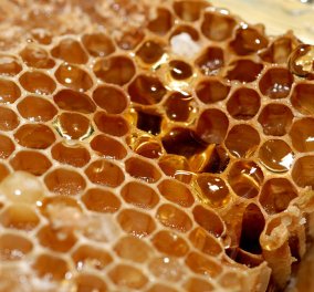 Νέες έρευνες δείχνουν πως το μέλι και το κερί ήταν δημοφιλή & χρηστικά από τη Λίθινη Εποχή  - Κυρίως Φωτογραφία - Gallery - Video