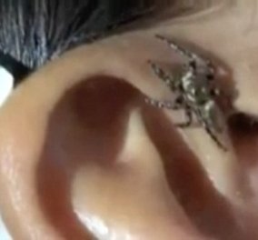 Δείτε το αν αντέχετε: Αράχνη είχε κατασκηνώσει σε αυτί άτυχου άνδρα (Bίντεο) - Κυρίως Φωτογραφία - Gallery - Video
