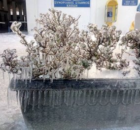 Οι ακραίες καιρικές συνθήκες στη Θράκη πάγωσαν το Τελωνείο Κήπων στον Έβρο  - Κυρίως Φωτογραφία - Gallery - Video