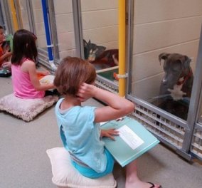 Συγκινητικό βίντεο: Παιδιά διαβάζουν σε σκυλάκια που είναι σε καταφύγιο αδέσποτων για να μη φοβούνται 