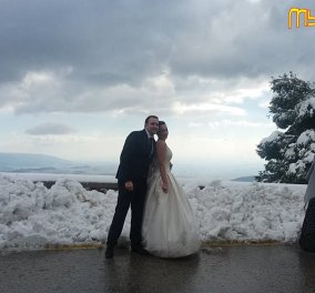 Πόζαραν για τη γαμήλια φωτογράφηση τους στην χιονισμένη Πάρνηθα - Με λασπωμένο νυφικό και παρέα με ελάφια (Βίντεο)