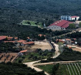 Μade in Greece: Η μεγαλύτερη βιολογική φάρμα 15.000 στρεμμάτων - Το όνειρο ζωής των Δημήτρη Μπάκου & Γιάννη Καϋμενάκη 