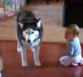 Θα ξεραθείτε στο γέλιο με το διάλογο ενός μωρού με τον σκύλο του (video) 