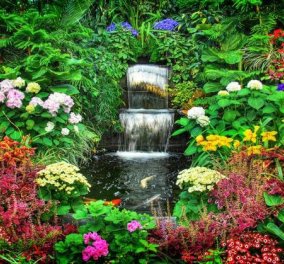 Ο κήπος σου πολύχρωμος & μυρωδάτος: Βάλε νεραγκούλες, φελίτσια, μολόχες, μίλιον μπελς - Κυρίως Φωτογραφία - Gallery - Video