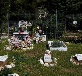 Κοιμητήριο μικρών ζώων ο Άγιος Φραγκίσκος: Έξω από την Μαλακάσα "κοιμούνται" για πάντα τα αγαπημένα μας κατοικίδια  