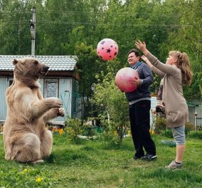 Story of the day: Ζευγάρι Ρώσων ζει εδώ και 23 χρόνια με μια αρκούδα - Την έχουν σαν παιδί τους 