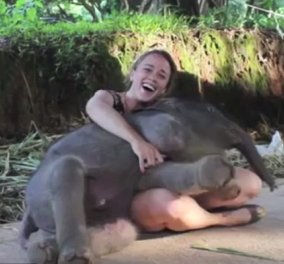 Smile βίντεο: Ελεφαντάκια κάνουν σαν σκύλοι - Αγκαλιάζουν τους εκπαιδευτές τους & γίνονται viral - Κυρίως Φωτογραφία - Gallery - Video