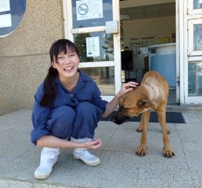 H συγκλονιστική ιστορία της  Jian: Αυτοκτόνησε κάνοντας ευθανασία γιατί δεν άντεχε ως κτηνίατρος να το κάνει άλλο στα ζώα - Κυρίως Φωτογραφία - Gallery - Video