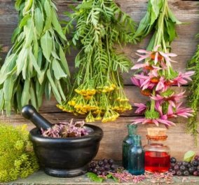 8 θαυματουργά βότανα που ρίχνουν τη χοληστερίνη - Οι πιστοί μας σύμμαχοι από την φύση  - Κυρίως Φωτογραφία - Gallery - Video