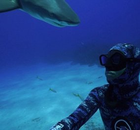 Μπαχάμες: Δείτε την σε μετωπική σύγκρουση δύτη με τυφλό καρχαρία - ΒΙΝΤΕΟ  