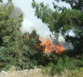 Μεγάλη πυρκαγιά μαίνεται στην Μυτιλήνη - Xωρίς ρεύμα όλη η Λέσβος