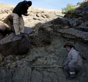 Βρέθηκε η πατούσα ενός τρομερού σαρκοφάγου δεινoσαύρου που έζησε πριν 80 εκ χρόνια - 1,2 μέτρα μήκος - Κυρίως Φωτογραφία - Gallery - Video
