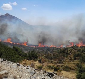 Δύσκολη μάχη με τις φλόγες στο Πόρτο Λάφια της Καρύστου και στο Αλιβέρι - Υπό έλεγχο οι φωτιές σε Λακωνία και Μέγαρα - Κυρίως Φωτογραφία - Gallery - Video