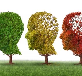 Παγκόσμιο συνέδριο Αλτσχάιμερ: Ασκήσεις για τον εγκέφαλο στον υπολογιστή προστατεύουν έναντι της άνοιας