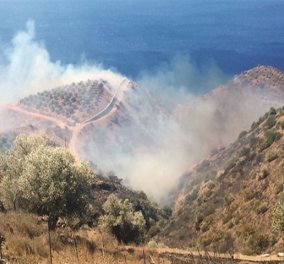 Μάχη με τις φλόγες στην Κρήτη - Απειλεί σπίτια η πυρκαγιά που ξέσπασε στις Βασιλειές Ηρακλείου  - Κυρίως Φωτογραφία - Gallery - Video