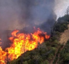 Πύρινος εφιάλτης στην Κάρυστο: Καίγεται δασική έκταση - Κυρίως Φωτογραφία - Gallery - Video